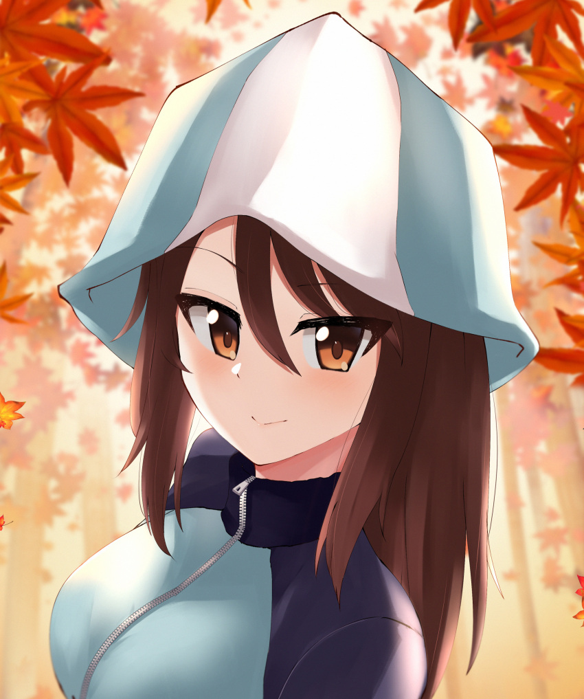 1girl absurdres autumn autumn_leaves backlighting bangs blue_headwear blue_jacket blurry blurry_background brown_eyes brown_hair closed_mouth commentary day depth_of_field girls_und_panzer hat highres jacket keizoku_military_uniform kurokimono001 long_hair looking_at_viewer mika_(girls_und_panzer) military military_uniform outdoors portrait raglan_sleeves smile solo track_jacket tulip_hat uniform zipper