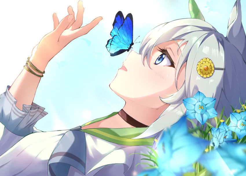 1girl animal_ears blue_eyes bug butterfly butterfly_on_nose flower hair_ornament hairclip highres horse_ears horse_girl lying on_back profile seiun_sky_(umamusume) short_hair silver_hair tiara_(871220) umamusume