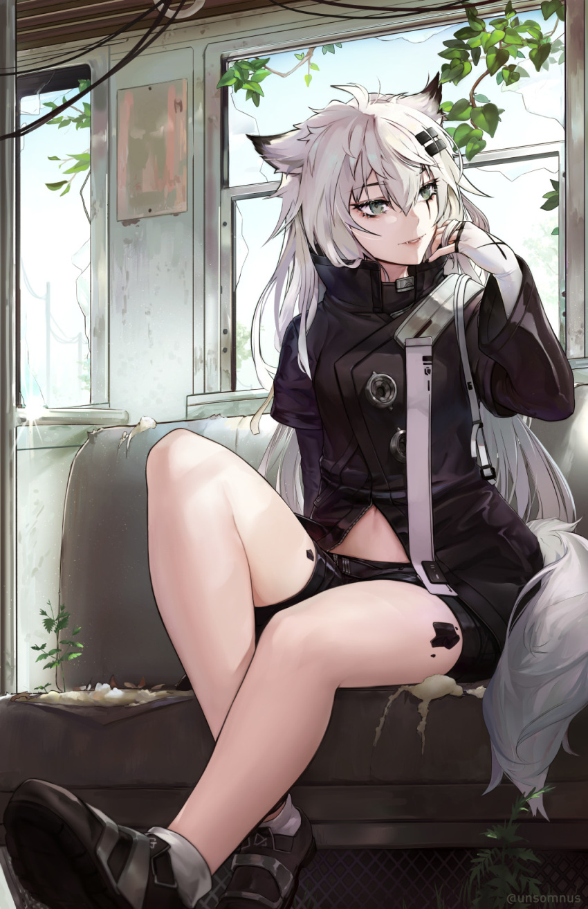 1girl animal_ears arknights bangs bare_legs black_footwear black_jacket black_shorts eyebrows_visible_through_hair fingerless_gloves gloves grey_eyes hair_between_eyes hair_ornament hairclip hand_up highres indoors jacket knee_up lappland_(arknights) leaf long_hair long_sleeves looking_to_the_side midriff_peek navel oripathy_lesion_(arknights) parted_lips scar scar_across_eye scar_on_face shoes short_shorts shorts silver_hair sitting solo tail thighs train_interior unsomnus white_gloves white_hair wide_sleeves window wolf_ears wolf_tail