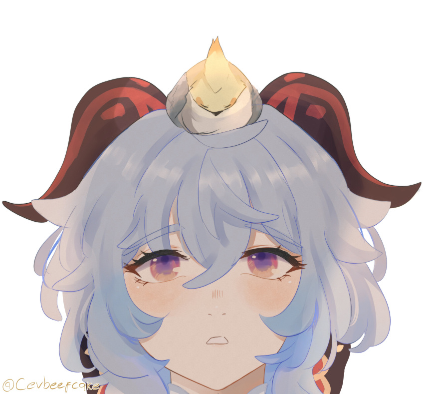 1girl absurdres bird blue_hair brei close-up eyebrows_visible_through_hair facing_viewer ganyu_(genshin_impact) genshin_impact goat_horns gradient_eyes highres horns looking_at_another looking_up multicolored_eyes open_mouth red_horns signature simple_background teeth white_background