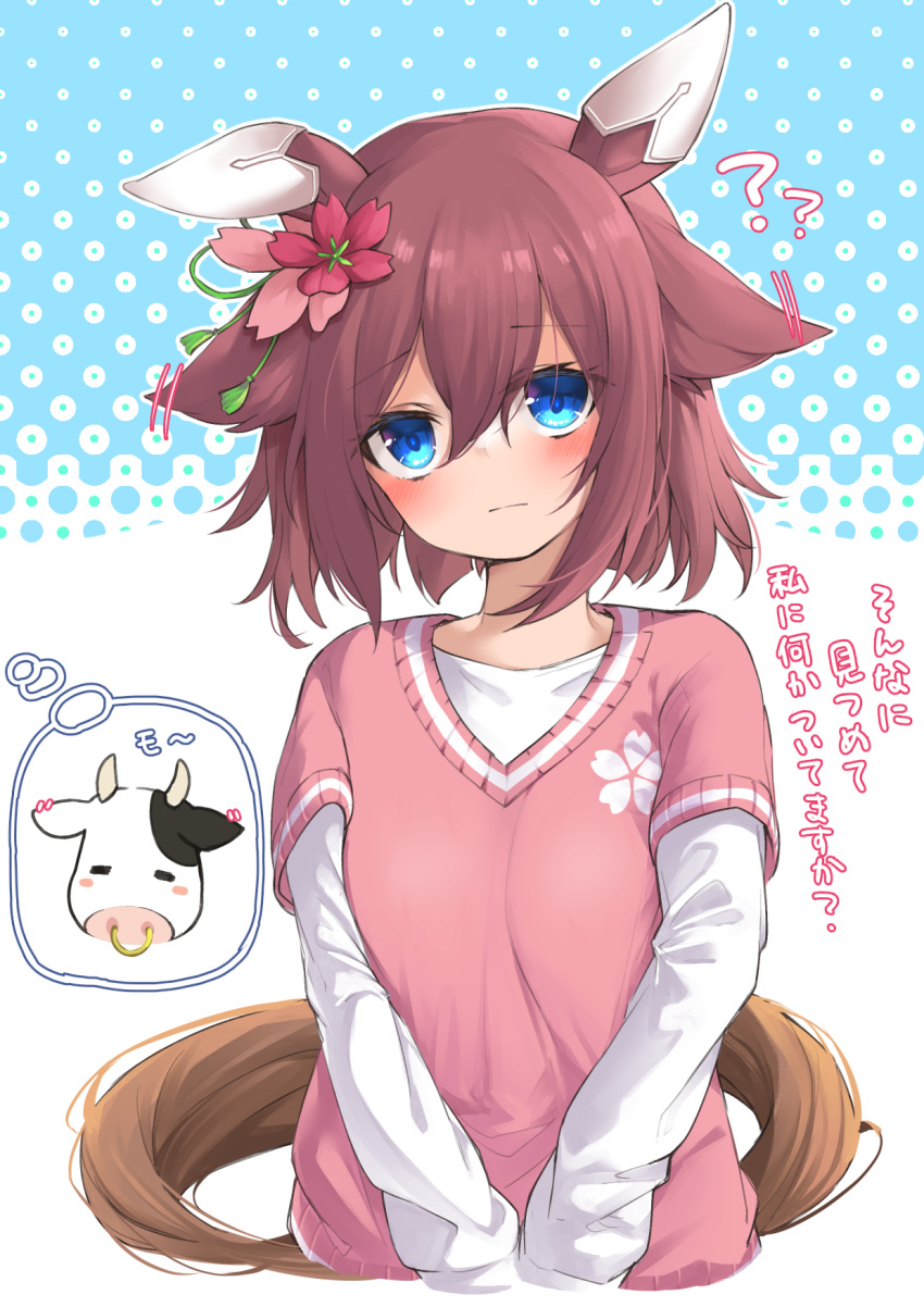1girl ? ?? animal_ears bangs blue_background blue_eyes blush brown_hair closed_mouth commentary_request cow cropped_torso eyebrows_visible_through_hair flower hair_between_eyes hair_flower hair_ornament highres horse_ears horse_girl horse_tail layered_sleeves leglus long_sleeves looking_at_viewer pink_sweater red_flower sakura_chiyono_o_(umamusume) shirt short_over_long_sleeves short_sleeves solo spoken_animal sweater tail translation_request umamusume upper_body white_background white_shirt