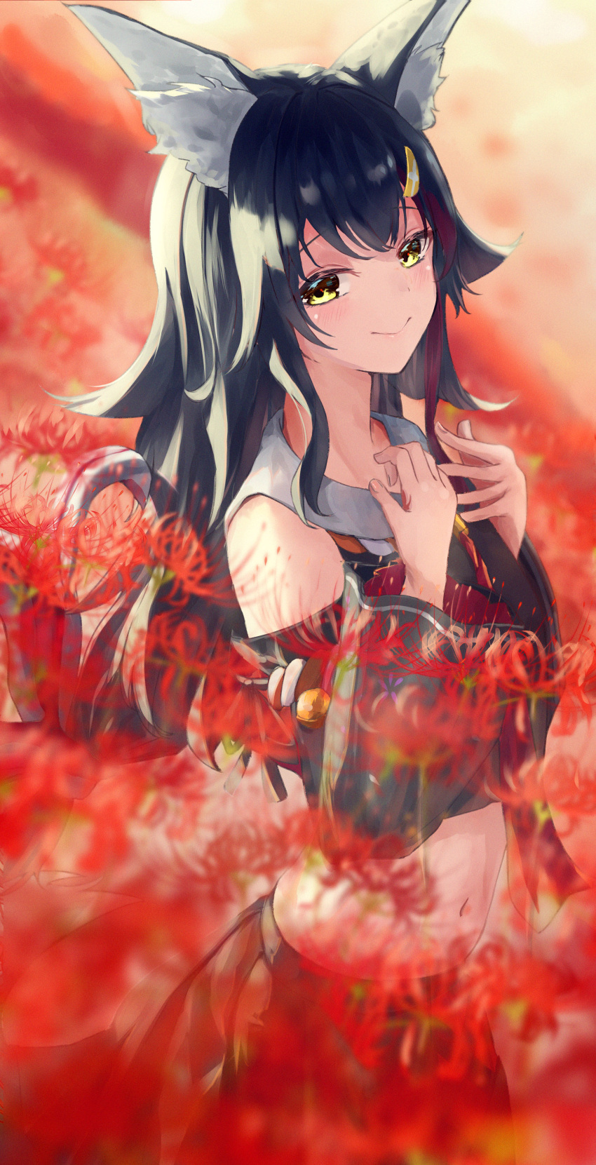1girl absurdres animal_ear_fluff animal_ears bangs black_hair black_shirt black_skirt closed_mouth commentary_request crop_top field flower flower_field hair_ornament hairclip highres hololive long_hair long_sleeves looking_at_viewer midriff nayuyu1105 ookami_mio outdoors red_flower shirt skirt smile solo spider_lily standing very_long_hair virtual_youtuber wolf_ears yellow_eyes