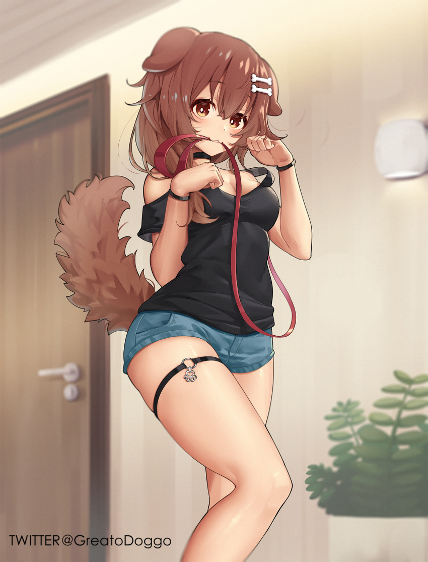 1girl animal_ears bangs black_choker black_shirt blue_shorts bone_hair_ornament breasts brown_eyes brown_hair choker commentary dog_ears dog_girl dog_tail door english_commentary eyebrows_visible_through_hair greatodoggo hair_between_eyes hair_ornament hands_up highres hololive indoors inugami_korone leash long_hair looking_at_viewer medium_breasts mouth_hold plant shirt short_shorts shorts solo standing tail tail_raised virtual_youtuber wristband