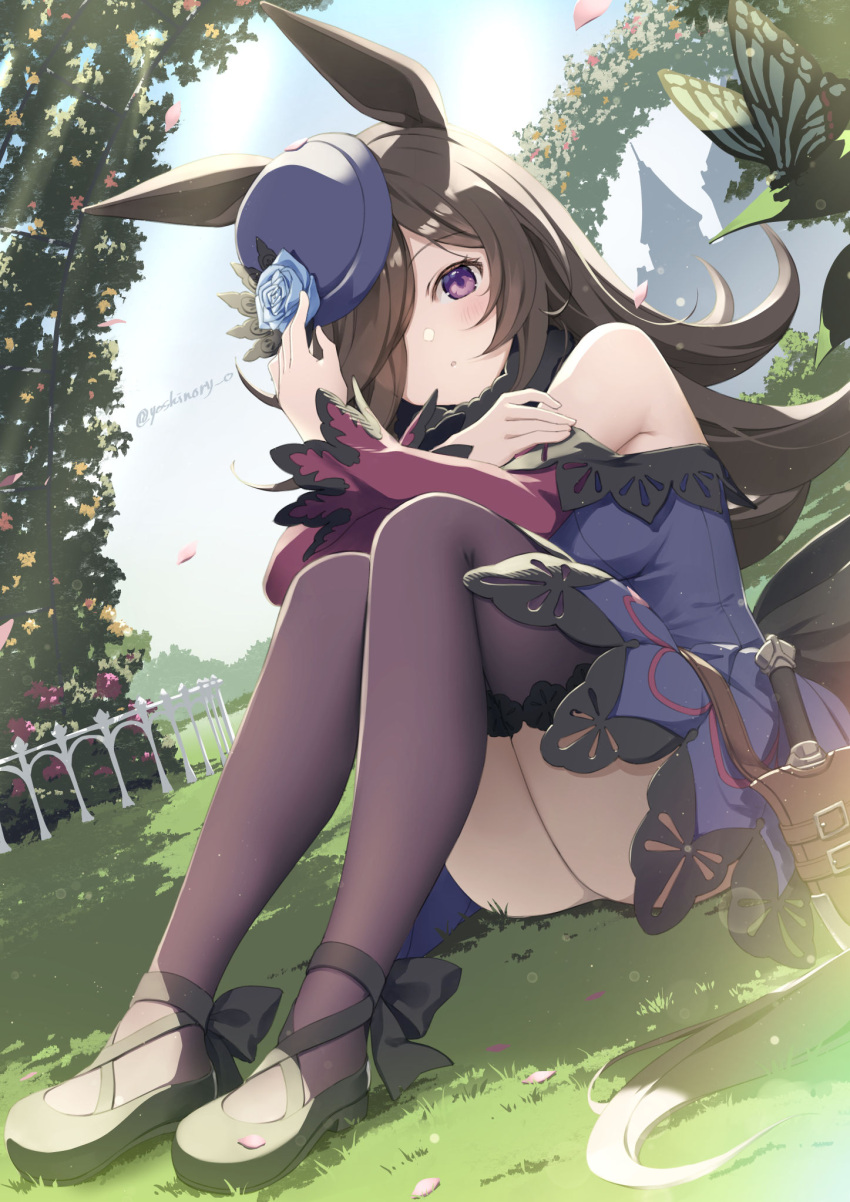 1girl :o animal animal_ears bangs bare_shoulders black_footwear black_hair blue_dress blue_flower blue_headwear blue_rose blush breasts brown_legwear bug butterfly commentary_request dagger day dress eyebrows_visible_through_hair flower hair_over_one_eye hand_up hat hat_flower highres horse_ears horse_girl horse_tail knees_up knife long_hair long_sleeves looking_at_viewer medium_breasts off-shoulder_dress off_shoulder outdoors parted_lips petals rice_shower_(umamusume) rose sheath sheathed shoes sitting sleeves_past_wrists solo tail thigh-highs tilted_headwear twitter_username umamusume very_long_hair violet_eyes weapon yoshino_ryou