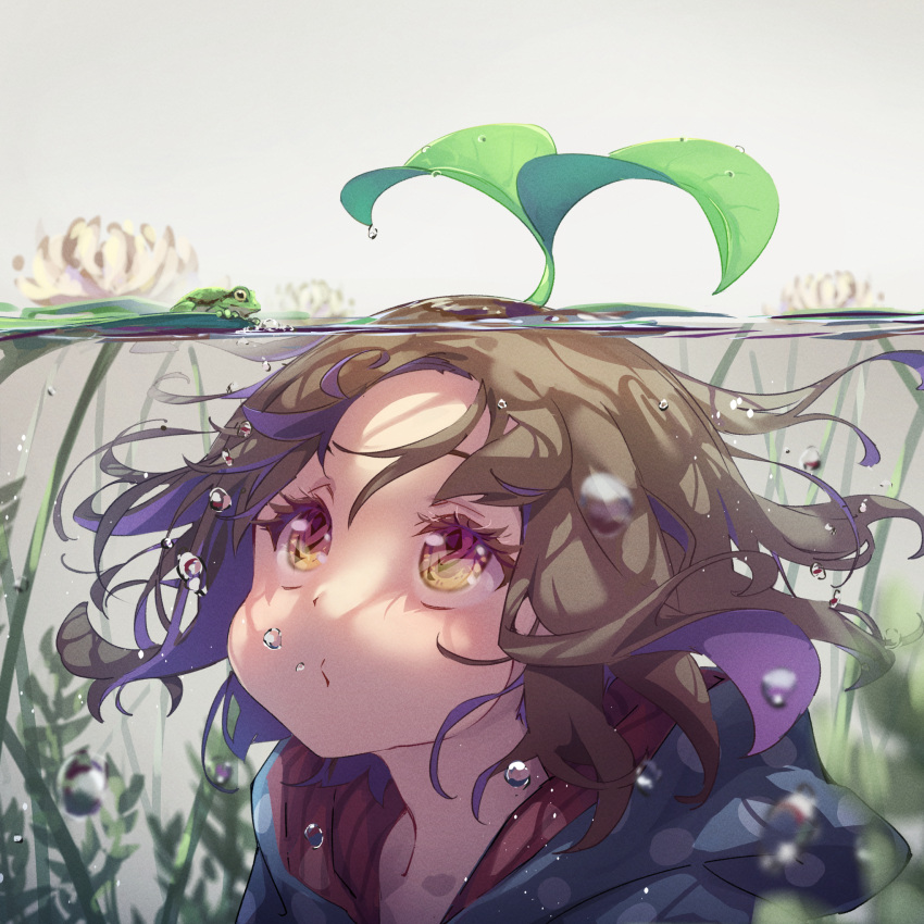 1girl air_bubble blue_hoodie brown_hair bubble commentary_request eva_mashiro flower frog highres hood hood_down hoodie indie_virtual_youtuber leaf leaf_on_head lily_pad looking_at_animal looking_up partially_underwater_shot plant short_hair solo submerged violet_eyes virtual_youtuber water white_flower