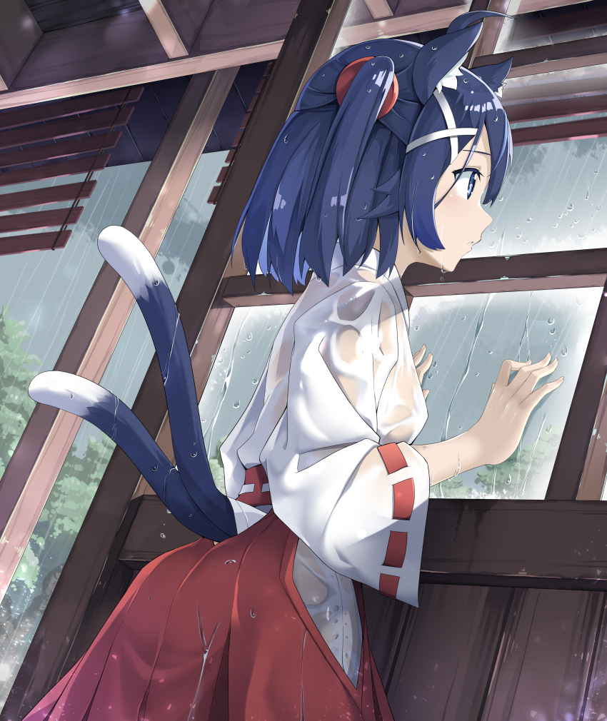 1girl absurdres ahoge animal_ear_fluff animal_ears ass blue_eyes blue_hair breasts cat_ears cat_girl cat_tail commentary_request copyright_request hakama hakama_skirt highres indoors japanese_clothes kimono long_sleeves looking_away multiple_tails one_side_up parted_lips rain red_hakama ribbon-trimmed_sleeves ribbon_trim see-through skirt small_breasts solo tail two_tails virtual_youtuber wet_kimono white_kimono wide_sleeves zelitto