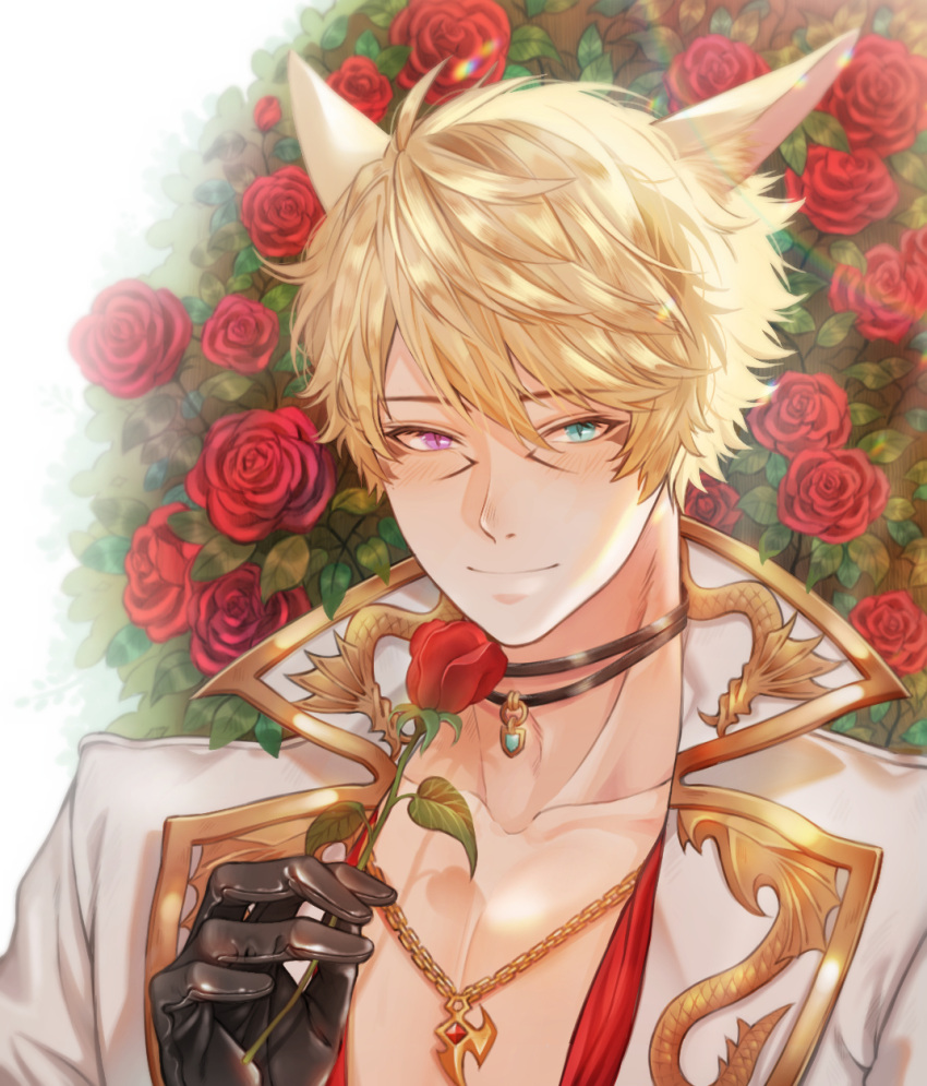 1boy animal_ear_fluff animal_ears aqua_eyes bangs black_gloves blonde_hair blush cat_ears chain_necklace choker closed_mouth eyelashes facial_mark final_fantasy final_fantasy_xiv floral_background flower gloves gold_trim hand_up heterochromia highres holding holding_flower jewelry let_o0 looking_at_viewer male_focus miqo'te pendant portrait red_flower red_rose rose short_hair slit_pupils smile solo violet_eyes white_background