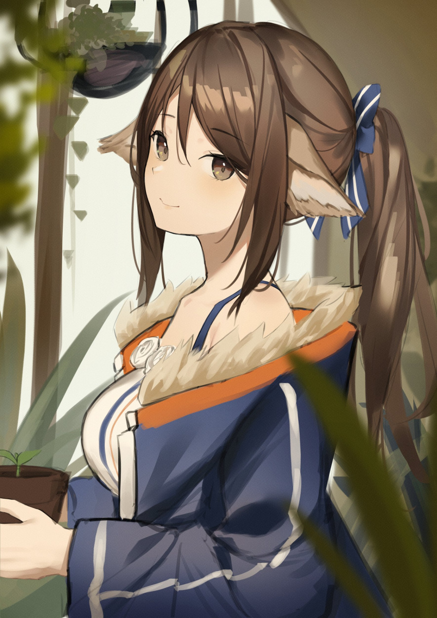 1girl absurdres animal_ears arknights bangs bare_shoulders blue_bow blue_coat blush bow breasts brown_eyes brown_hair closed_mouth coat eyebrows_visible_through_hair flower_pot fox_ears fur-trimmed_coat fur_trim hair_bow highres holding indoors long_hair long_sleeves looking_at_another looking_at_viewer medium_breasts off_shoulder open_clothes open_coat perfumer_(arknights) plant ponytail potted_plant smile solo swept_bangs upper_body wazd0183