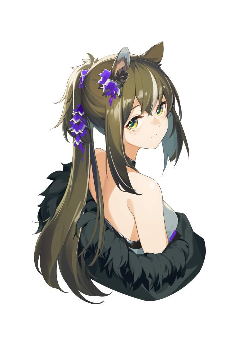 1girl absurdres animal_ear_fluff animal_ears arknights bare_shoulders black_choker breasts brown_hair choker closed_mouth cropped_torso flower from_above fur_trim hair_flower hair_ornament highres long_hair looking_at_viewer looking_back looking_up medium_breasts multicolored_hair off_shoulder ponytail purple_flower raccoon_ears robin_(arknights) robin_(gift_of_wild)_(arknights) sidelocks smile solo streaked_hair syaoranen two-tone_hair upper_body white_hair yellow_eyes