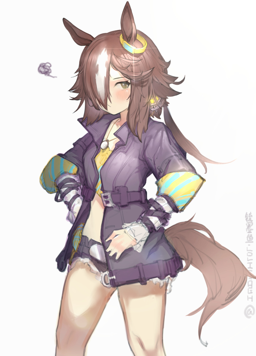 1girl animal_ears black_shorts brown_hair chongmoyu_loligogh commentary_request crop_top cutoffs feet_out_of_frame grey_eyes highres horse_ears jacket long_hair long_sleeves looking_at_viewer midriff open_clothes open_jacket purple_jacket short_shorts shorts simple_background solo standing tail thighs umamusume vodka_(umamusume) white_background