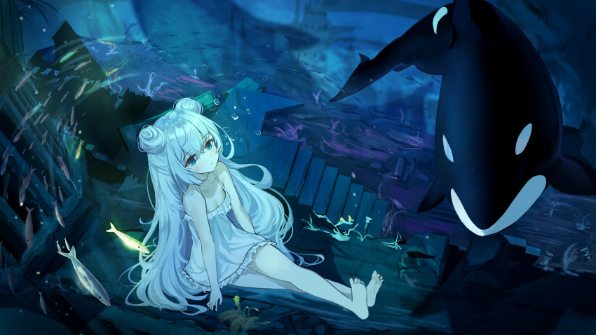 1girl absurdres azur_lane bangs bare_legs barefoot blue_eyes blush breasts closed_mouth collarbone crossed_legs double_bun eyebrows_visible_through_hair feet fish full_body highres le_malin_(azur_lane) le_malin_(sleepy_sunday)_(azur_lane) legs lemontea_(ekvr5838) long_hair looking_up nightgown shark silver_hair sitting small_breasts soles solo toes underwater white_nightgown