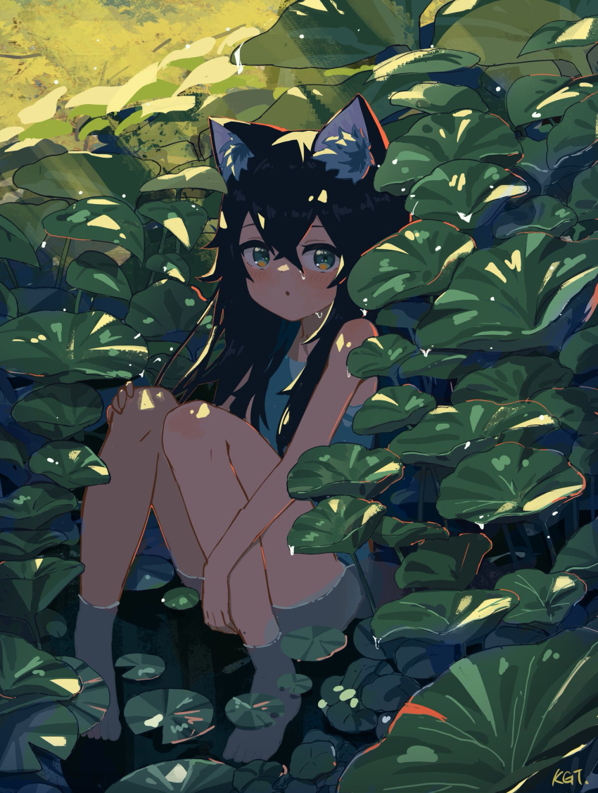 1girl :o animal_ear_fluff animal_ears bare_arms bare_legs black_hair blue_tank_top blush cat_ears cat_girl foliage green_eyes hair_between_eyes highres kgt_(pixiv12957613) knees_together_feet_apart knees_up leaf light_rays lily_pad long_hair looking_at_viewer nature original outdoors partially_submerged plant shade signature sitting solo sunlight tank_top water water_drop