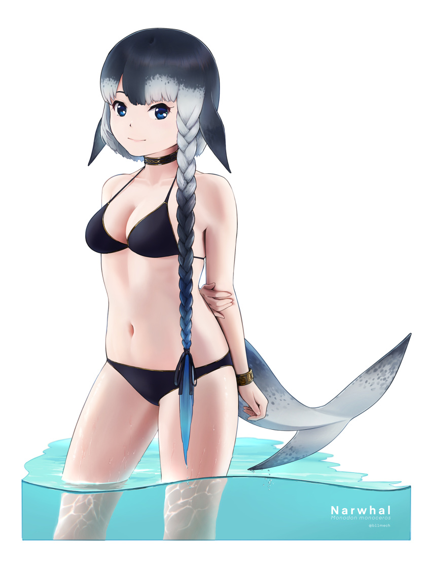 1girl alternate_hairstyle arm_at_side arm_behind_back asymmetrical_hair bangs beleven bikini black_bikini black_hair black_swimsuit blowhole blue_eyes blue_hair border braid breasts cetacean_tail character_name choker closed_mouth collarbone gradient_hair grey_hair hair_ribbon head_fins highres jewelry kemono_friends legs_together light_smile long_hair looking_at_viewer medium_breasts multicolored_hair narwhal_(kemono_friends) navel parted_bangs ribbon side_braid single_braid solo standing stomach swimsuit tail twintails very_long_hair wading water wristlet