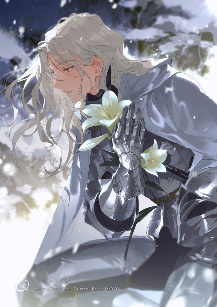 1boy armor artist_name blurry blurry_background cape copyright_request curly_hair feet_out_of_frame flower from_side gauntlets glint grey_cape grey_hair highres holding holding_flower kneeling long_hair male_focus parted_lips red_eyes rrr_(reason) snow snowing solo twitter_username white_flower
