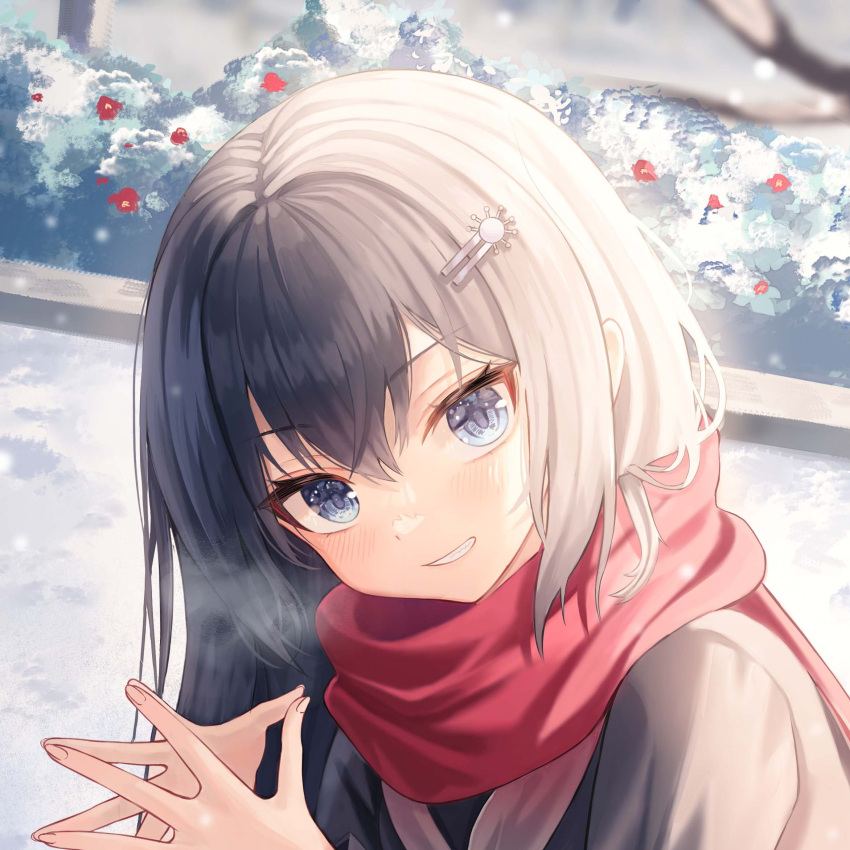 1girl bangs black_hair blue_eyes blush breath bush clouds cloudy_sky day flower grin hair_ornament hairclip highres looking_at_viewer original own_hands_together poise portrait scarf short_hair sky smile snow solo tree