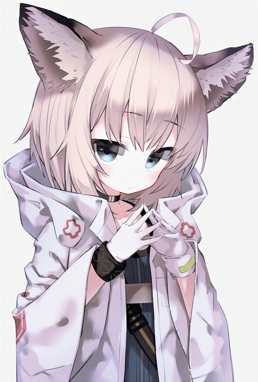 1girl ahoge animal_ears arknights black_choker black_wristband blue_eyes blue_shirt choker coat commentary_request eyebrows_visible_through_hair fox_ears fox_girl fox_tail gloves hands_up highres hooded_coat infection_monitor_(arknights) light_blush long_sleeves looking_at_viewer open_clothes open_coat poppypilf shirt short_hair simple_background solo sussurro_(arknights) tail upper_body white_background white_coat white_gloves wide_sleeves