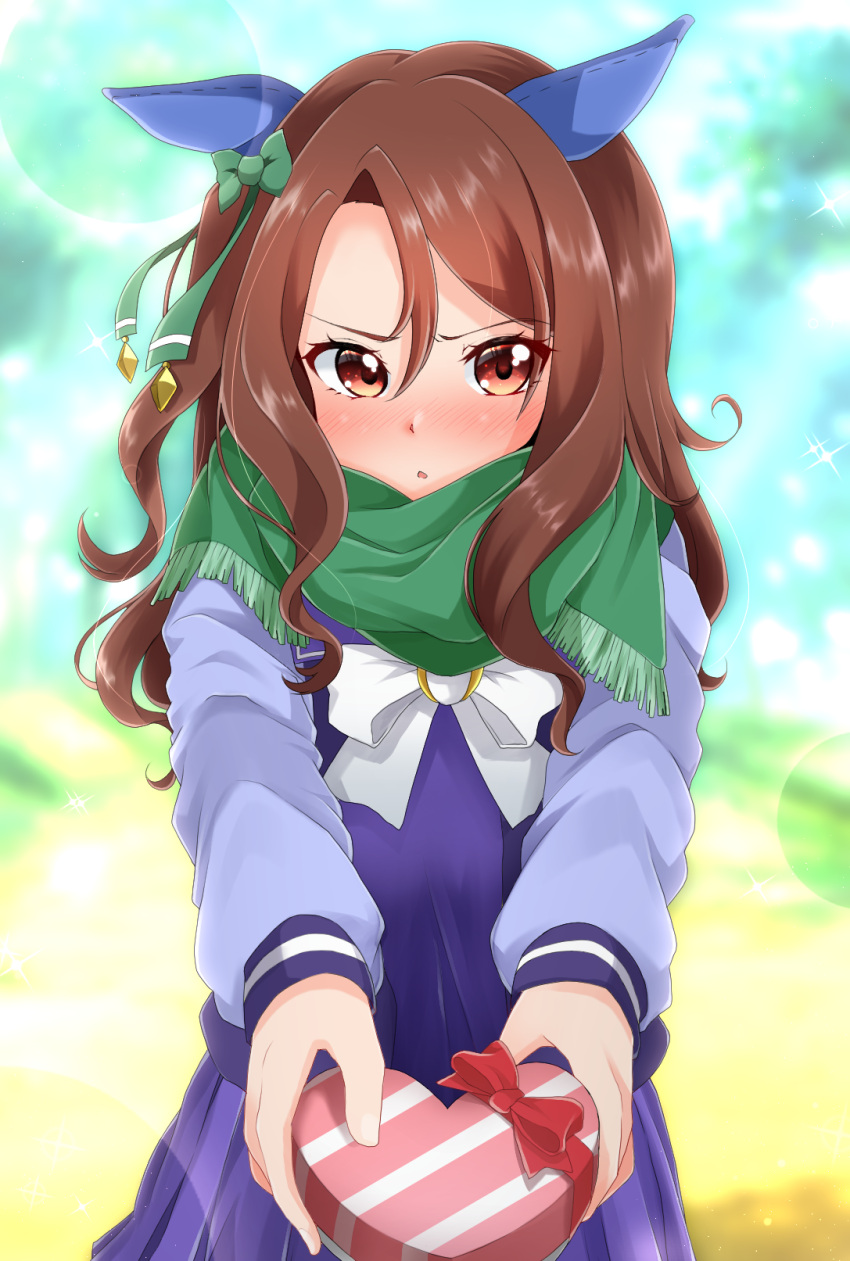 1girl bangs blurry blurry_background blush bow box commentary day depth_of_field ear_bow ear_covers embarrassed frown gift giving green_scarf heart-shaped_box highres holding holding_gift king_halo_(umamusume) long_hair looking_at_viewer medium_skirt miso_bon open_mouth outdoors pleated_skirt purple_shirt purple_skirt scarf school_uniform shirt skirt solo sparkle swept_bangs tracen_school_uniform umamusume valentine white_bow winter_uniform
