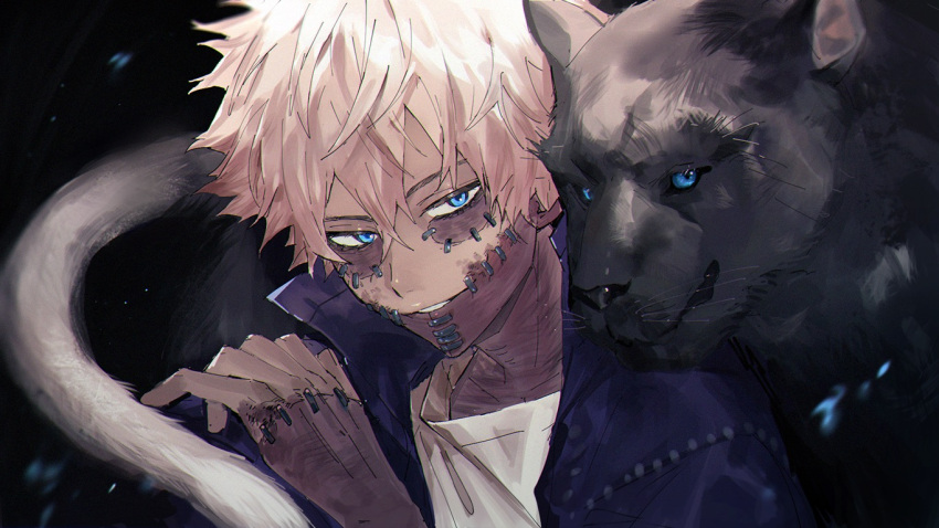 1boy bangs black_cat black_jacket blue_eyes boku_no_hero_academia burn_scar cat costume dabi_(boku_no_hero_academia) face hair_between_eyes jacket jaguar looking_at_viewer male_focus mm39572 popped_collar portrait scar scar_on_chest scar_on_face scar_on_hand scar_on_neck shirt short_hair solo spiky_hair spoilers stapled stitches todoroki_touya trench_coat white_hair white_shirt
