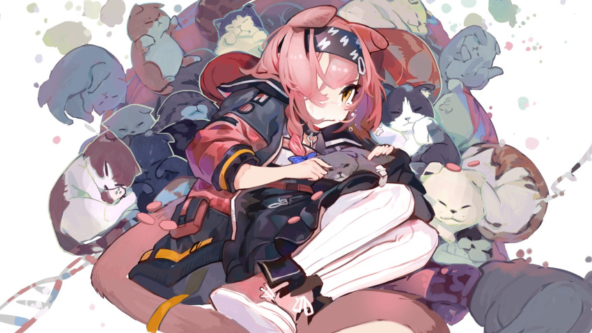 1girl animal animal_ears arknights black_skirt blue_bow blush bow braid brown_eyes cat cat_ears cat_girl cat_tail closed_mouth commentary_request crying crying_with_eyes_open dna frilled_skirt frills goldenglow_(arknights) hair_bow hair_over_shoulder highres jacket long_hair open_clothes open_jacket pink_footwear pink_hair pink_jacket qingpu_liang shirt shoe_soles shoes single_braid skirt solo tail tears thigh-highs white_background white_legwear white_shirt
