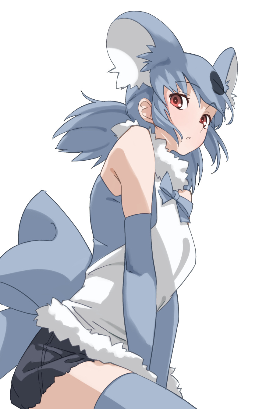 1girl absurdres animal_ears bare_shoulders between_legs brown_eyes elbow_gloves extra_ears eyebrows_visible_through_hair fur_collar gloves grey_gloves grey_hair grey_legwear hand_between_legs highres kemono_friends koala_(kemono_friends) long_hair looking_at_viewer low_twintails parted_lips simple_background sleeveless solo tanabe_(fueisei) thigh-highs twintails white_background
