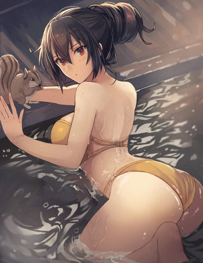 1girl animal bikini black_hair blush breasts eyebrows_visible_through_hair from_behind hair_between_eyes highres kantai_collection kasumi_(skchkko) large_breasts long_hair looking_back nagato_(kancolle) onsen parted_lips partially_submerged red_eyes solo squirrel swimsuit water wet yellow_bikini