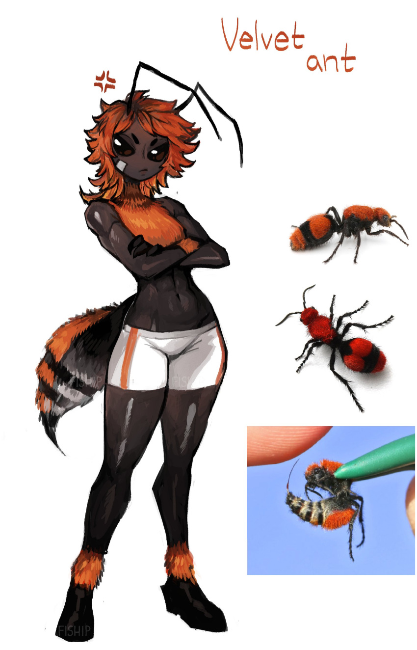 1girl abs absurdres anger_vein ant_girl antennae arthropod_girl black_eyes black_sclera closed_mouth colored_sclera crossed_arms dark-skinned_female dark_skin highres looking_at_viewer matilda_fiship medium_hair monster_girl navel orange_hair original shorts simple_background solo standing tail white_background white_shorts