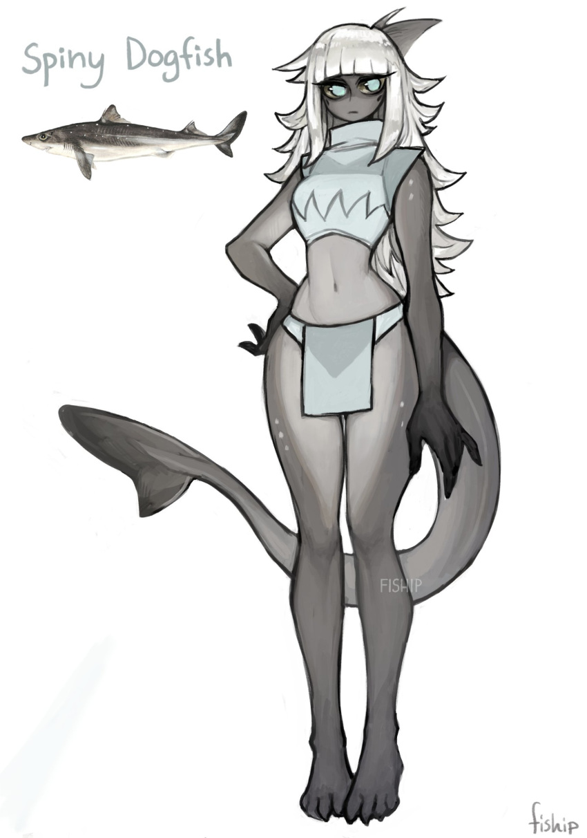 1girl absurdres barefoot blue_eyes closed_mouth crop_top fewer_digits fish_girl full_body hand_on_hip highres looking_at_viewer matilda_fiship monster_girl navel original pelvic_curtain shark_fin shark_girl signature simple_background smile solo tail white_background