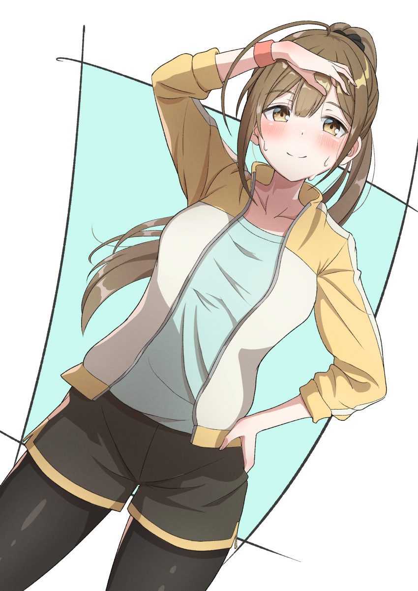 1girl absurdres ahoge artist_request black_shorts blue_shirt brown_hair commentary_request dutch_angle high_ponytail highres idolmaster idolmaster_shiny_colors jacket kuwayama_chiyuki leggings long_hair long_sleeves looking_at_viewer open_clothes open_jacket pantyhose shirt shorts solo sweat track_jacket wristband yellow_eyes
