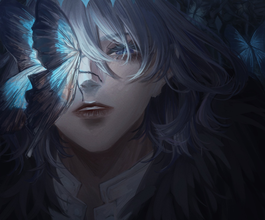 1boy arthropod_boy bangs blue_butterfly blue_eyes bug butterfly butterfly_on_nose cape crown diamond_hairband face fate/grand_order fate_(series) fur-trimmed_cape fur_trim grey_hair highres long_hair looking_at_viewer male_focus me-me oberon_(fate) shirt solo white_shirt