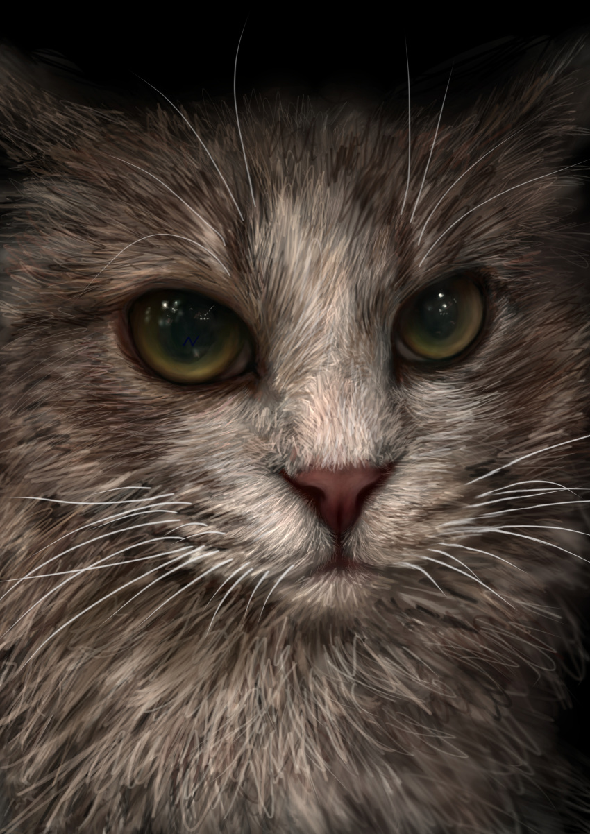 absurdres animal animal_focus black_background cat cat_day close-up closed_mouth commentary green_eyes highres looking_at_viewer nekodosaiun no_humans original realistic simple_background