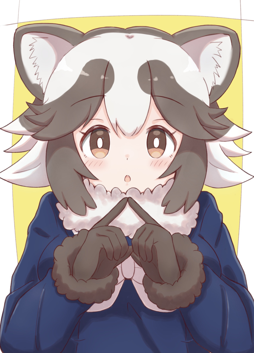 1girl :o animal_ear_fluff animal_ears black_gloves black_hair blue_shirt blush bow brown_eyes commentary_request fingers_together fur-trimmed_sleeves fur_collar fur_trim gloves grey_hair highres kemono_friends long_sleeves multicolored_hair parted_lips raccoon_ears shirt solo sunanuko_(ramuneko) tanuki_(kemono_friends) two-tone_background two-tone_hair upper_body white_background white_bow white_hair yellow_background