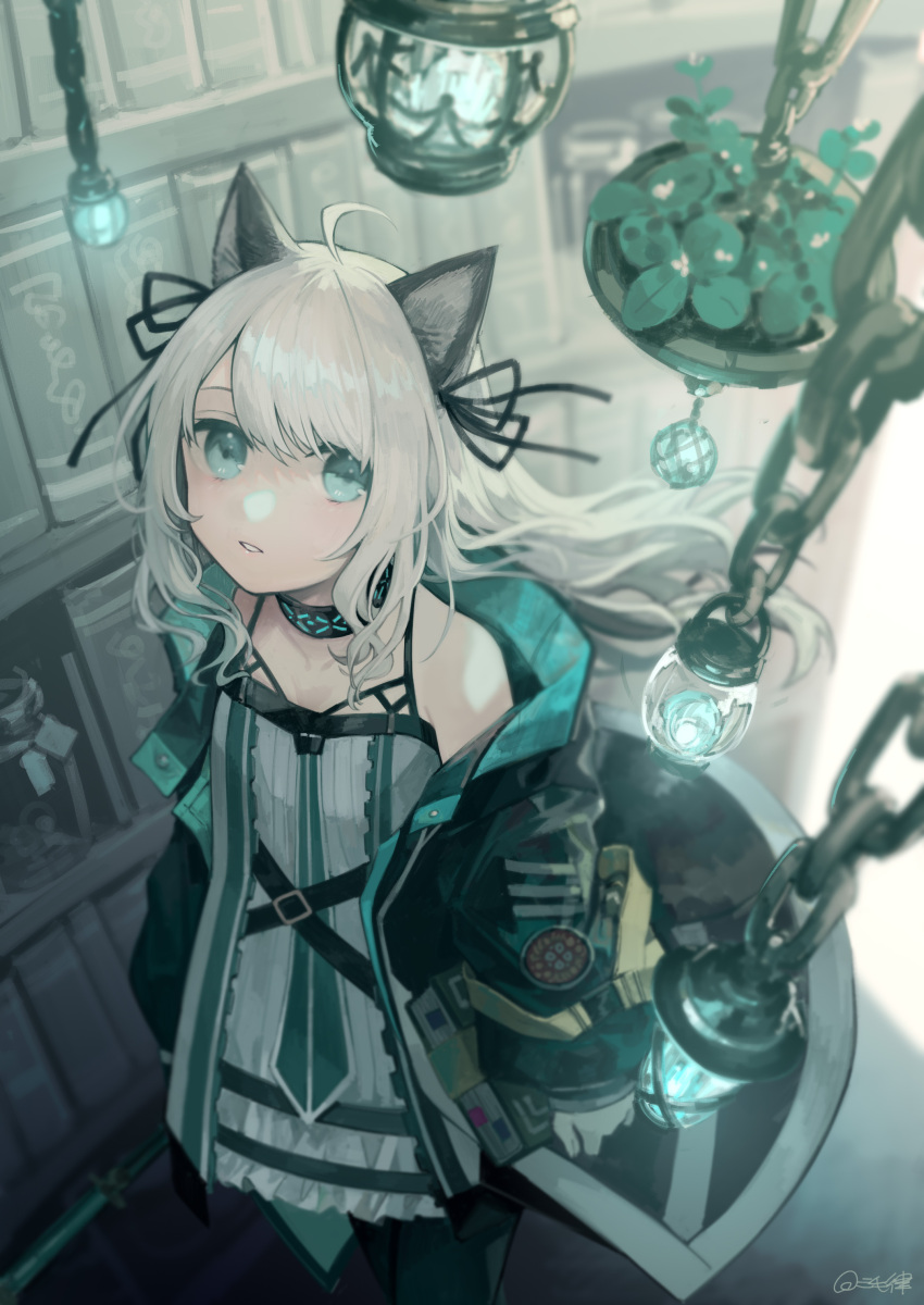 1girl absurdres animal_ears arknights black_jacket black_legwear blue_eyes book bookshelf cat_ears chain commentary_request dress feet_out_of_frame from_above highres holding holding_book indoors jacket long_hair long_sleeves looking_at_viewer looking_up miike_(992058) mint_(arknights) off_shoulder open_clothes open_jacket pantyhose parted_lips puffy_long_sleeves puffy_sleeves sleeves_past_wrists solo standing twitter_username very_long_hair white_dress white_hair