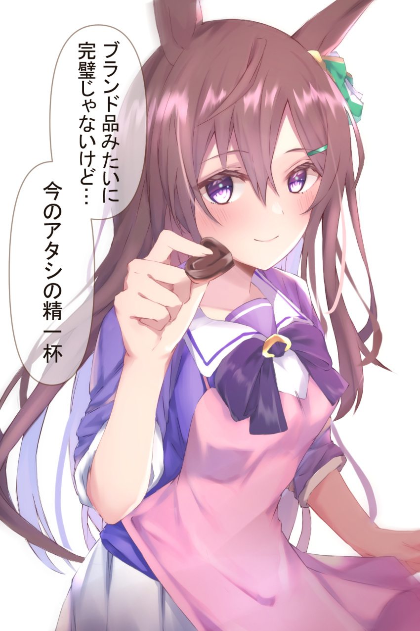 1girl animal_ears apron bangs blouse blush bow bowtie brown_hair chocolate closed_mouth commentary ear_bow food hair_ornament hairclip highres hojiro_same holding holding_food horse_ears horse_girl long_hair looking_at_viewer mejiro_dober_(umamusume) pink_apron purple_blouse purple_bow purple_bowtie sailor_collar school_uniform simple_background smile solo standing tracen_school_uniform translated umamusume upper_body valentine violet_eyes white_background white_sailor_collar
