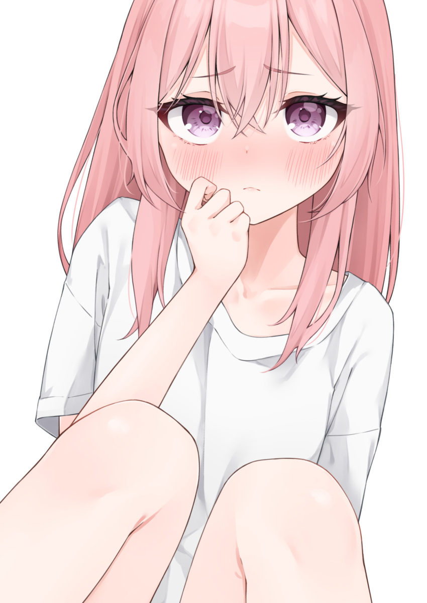 1girl bangs blush closed_mouth collarbone commentary eyebrows_visible_through_hair feet_out_of_frame hair_between_eyes hand_up highres hijouguti inui_sajuna knees_up long_hair looking_at_viewer pink_hair shirt short_sleeves simple_background sitting solo sono_bisque_doll_wa_koi_wo_suru violet_eyes white_background white_shirt