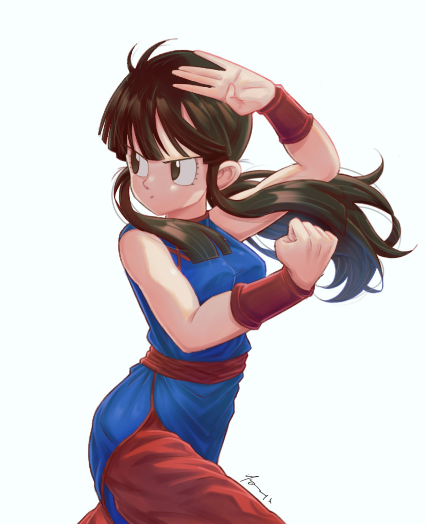 1girl bangs bare_arms black_eyes black_hair blue_dress blunt_bangs breasts chi-chi_(dragon_ball) china_dress chinese_clothes clenched_hand closed_mouth cowboy_shot dragon_ball dragon_ball_(classic) dress facing_viewer fighting_stance floating_hair hands_up high_collar highres legs_apart looking_to_the_side lychee_(artist) medium_breasts obi pants ponytail red_pants red_sash red_wristband sash serious shiny shiny_hair side_slit sidelocks signature simple_background sleeveless sleeveless_dress solo v-shaped_eyebrows white_background wristband