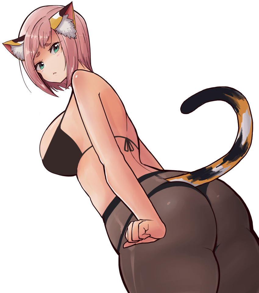 1girl :&lt; alternate_breast_size animal_ear_fluff animal_ears ass bare_arms bare_shoulders black_bra black_legwear bra breasts cat_ears cat_girl cat_tail cowboy_shot diona_(genshin_impact) from_behind frown genshin_impact green_eyes highres korean_commentary large_breasts looking_at_viewer looking_down older pantyhose pink_hair rinsutachio short_hair sideboob simple_background solo tail tail_raised thick_eyebrows thick_thighs thighs underwear white_background