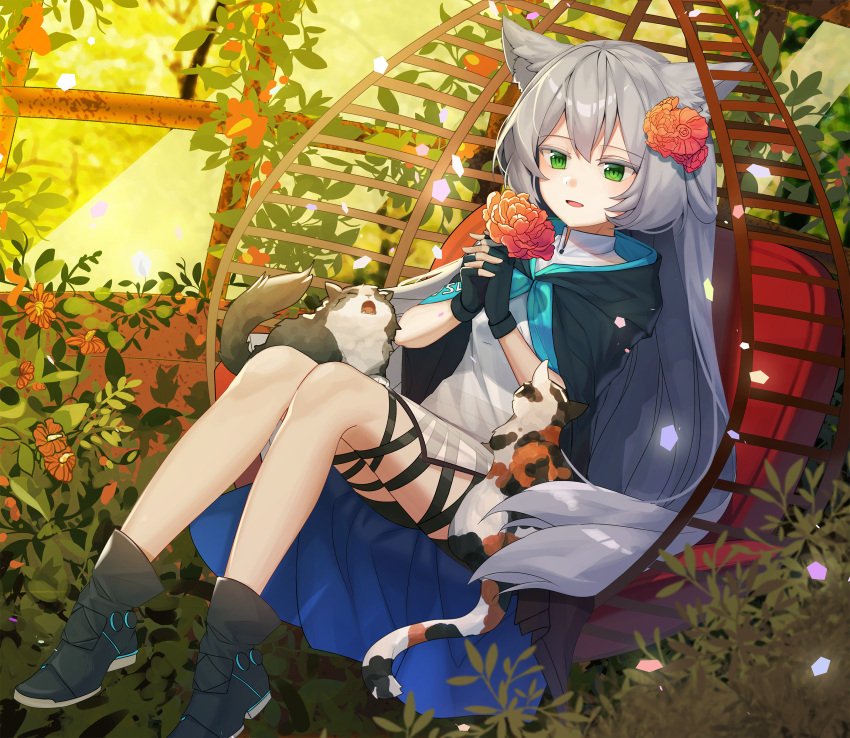 1girl absurdres animal animal_ears arknights black_cape black_gloves cape cat cat_ears commentary dokgo_die_docta_(d_o_t) dress eyebrows_visible_through_hair fingerless_gloves flower full_body gloves green_eyes grey_hair hair_flower hair_ornament happy highres holding holding_flower hood hooded_cape long_hair meowing open_mouth plant red_flower rosmontis_(arknights) sitting solo symbol-only_commentary very_long_hair white_dress