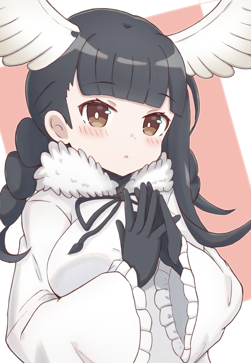 1girl absurdres bangs black-headed_ibis_(kemono_friends) black_gloves black_hair black_ribbon blunt_bangs blush braid breasts brown_eyes commentary_request eyebrows_visible_through_hair feathered_wings frilled_sleeves frills fur_trim gloves hands_up head_wings highres kemono_friends long_hair long_sleeves medium_breasts neck_ribbon parted_lips pink_background ribbon shirt solo steepled_fingers sunanuko_(ramuneko) twin_braids two-tone_background upper_body white_background white_shirt white_wings wide_sleeves wings