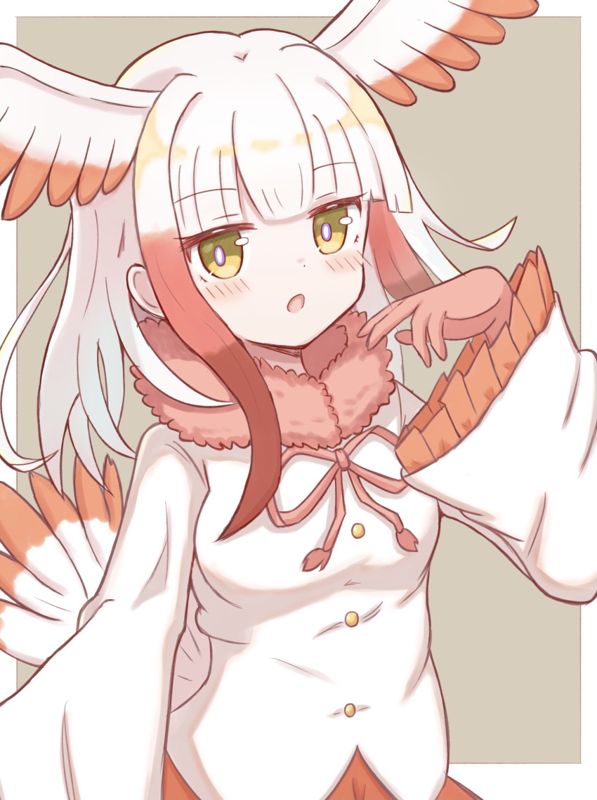 1girl bangs bird_tail blunt_bangs blush breasts commentary_request eyebrows_visible_through_hair feathered_wings frilled_sleeves frills fur-trimmed_jacket fur_trim gloves grey_background hand_up head_wings highres jacket japanese_crested_ibis_(kemono_friends) kemono_friends long_hair looking_at_viewer multicolored_hair neck_ribbon parted_lips red_eyes red_gloves red_ribbon red_skirt ribbon shirt skirt small_breasts solo sunanuko_(ramuneko) tail tail_feathers two-tone_background two-tone_hair white_background white_hair white_shirt wings yellow_eyes