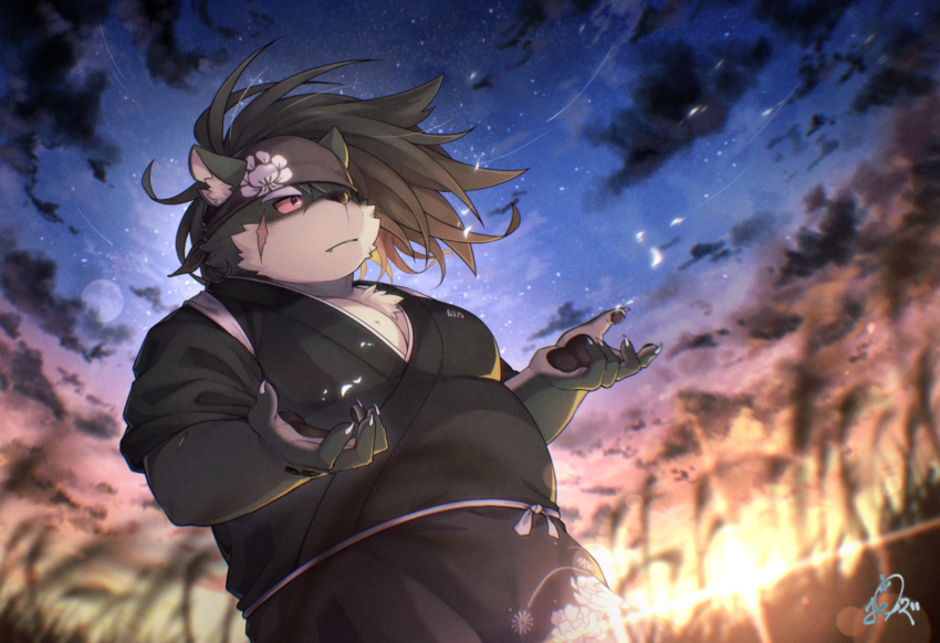 1boy animal_ears belly black_hair colored_sclera dog_boy dog_ears fingernails grass highres japanese_clothes light_rays male_focus muscular muscular_male night night_sky open_arms plump ponytail ponzu_tas red_sclera scar scar_on_arm scar_on_cheek scar_on_face sharp_fingernails shino_(housamo) signature sky solo tokyo_afterschool_summoners w_arms