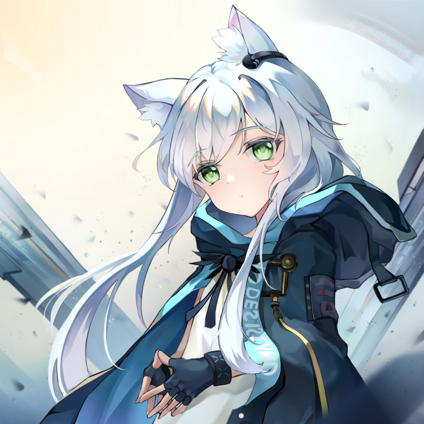 1girl animal_ear_fluff animal_ears arknights bangs black_gloves black_jacket black_ribbon cat_ears closed_mouth commentary_request dress eyebrows_visible_through_hair fingerless_gloves gloves green_eyes grey_hair head_tilt highres hood hood_down hooded_jacket jacket jacket_on_shoulders long_hair looking_at_viewer open_clothes open_jacket ribbon rosmontis_(arknights) solo steepled_fingers very_long_hair white_dress yowamushi
