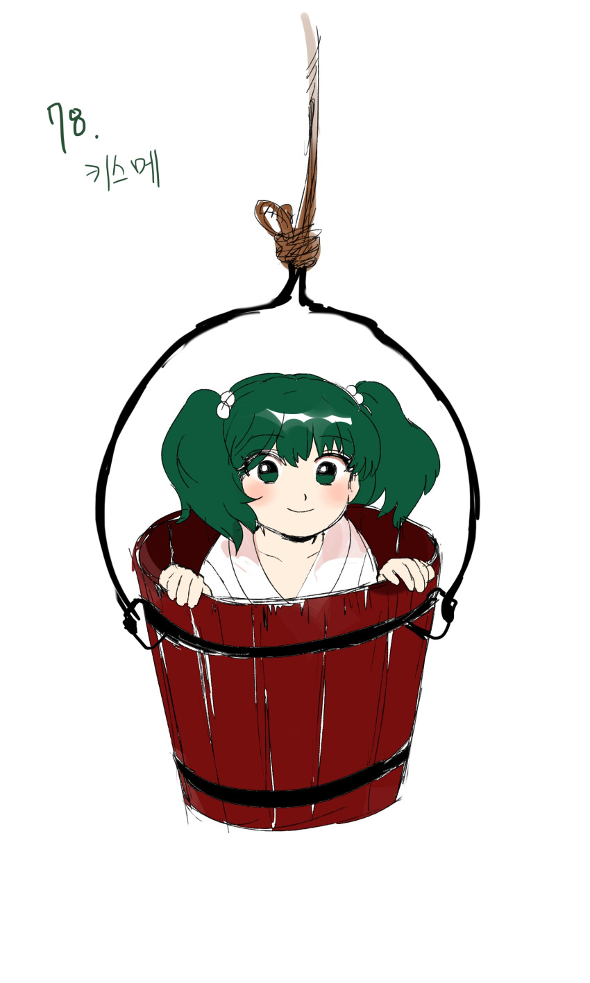 1girl absurdres bangs blush bucket closed_mouth commentary_request derivative_work eyebrows_visible_through_hair full_body green_eyes green_hair hair_bobbles hair_ornament happy highres in_bucket in_container japanese_clothes kimono kisume korean_commentary kuya_(hey36253625) looking_at_viewer medium_hair rope simple_background smile subterranean_animism touhou translation_request twintails white_background white_kimono wooden_bucket youkai