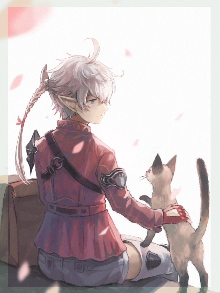 1girl ahoge alisaie_leveilleur armor bag blue_eyes boots braid cat elezen elf feet_out_of_frame final_fantasy final_fantasy_xiv fingerless_gloves from_behind gloves grey_footwear grey_shorts hair_ribbon highres jacket long_hair looking_at_animal omori_hakumai paper_bag pauldrons petting pointy_ears ponytail red_gloves red_jacket ribbon short_shorts shorts shoulder_armor shoulder_belt silver_hair single_braid single_pauldron sitting solo thigh-highs thigh_boots white_background