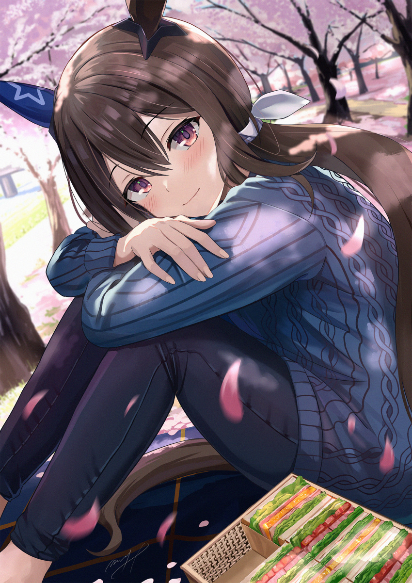 1girl admire_vega_(umamusume) alternate_costume animal_ears aran_sweater bangs barefoot black_pants blue_dress blue_sweater blush box casual cherry_blossoms closed_mouth commentary_request day dress dutch_angle ear_covers eyebrows_visible_through_hair feet_out_of_frame food hair_ribbon highres horse_ears long_hair long_sleeves looking_at_viewer low_ponytail m.a.y. outdoors pants petals red_eyes ribbon sandwich signature smile solo spring_(season) sweater sweater_dress tree umamusume very_long_hair white_ribbon