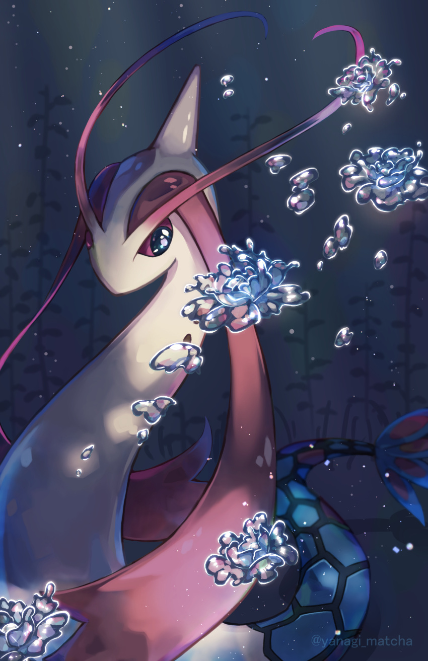 absurdres air_bubble animal_focus black_eyes bright_pupils bubble commentary_request highres looking_to_the_side milotic no_humans pokemon pokemon_(creature) silhouette solo underwater white_pupils yanagimachi