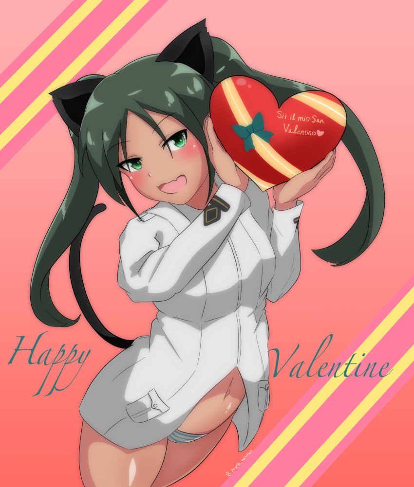 1girl absurdres animal_ears bangs black_hair blue_panties box cat_ears cat_tail commentary_request cursive english_text fang francesca_lucchini gift gift_box green_eyes happy_valentine head_tilt heart-shaped_box highres holding holding_gift italian_text jacket long_hair looking_at_viewer navel no_pants open_mouth panties partial_commentary red_background skin_fang smile solo standing strike_witches striped striped_panties tail tan twintails twitter_username underwear valentine wanwan_0301 white_jacket world_witches_series