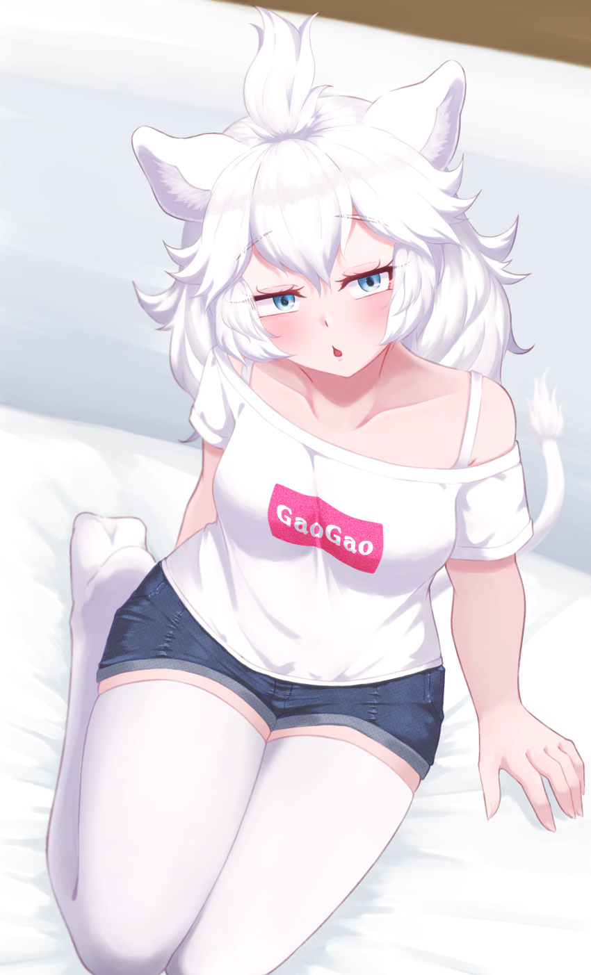 1girl absurdres alternate_costume animal_ears blue_eyes commentary_request denim denim_shorts eka_kinoko eyebrows_visible_through_hair highres kemono_friends lion_ears lion_girl lion_tail looking_at_viewer looking_up no_shoes on_bed seiza shirt short_shorts short_sleeves shorts sitting solo spaghetti_strap t-shirt tail thigh-highs white_legwear white_lion_(kemono_friends) white_shirt zettai_ryouiki