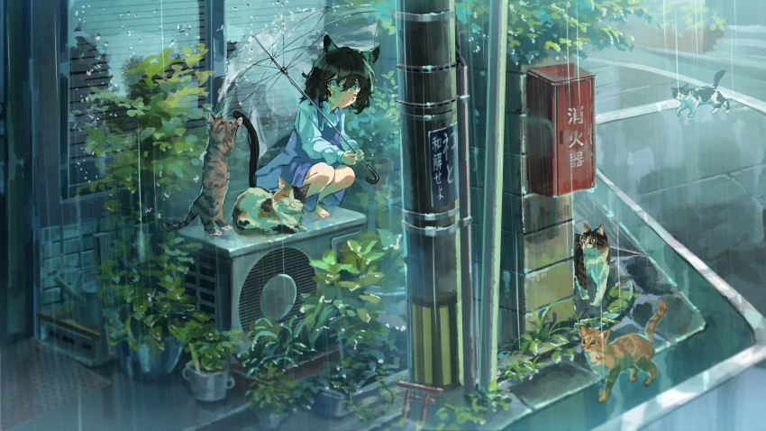 1girl :o absurdres air_conditioner animal animal_ear_fluff animal_ears bangs barefoot black_hair blue_dress blue_eyes cat cat_ears cat_girl cat_tail collared_dress dress facial_mark hair_between_eyes highres holding holding_umbrella long_sleeves looking_at_viewer luc_(user_xzsx2472) medium_hair original outdoors plant potted_plant rain scenery solo squatting tail tail_raised toes translation_request umbrella utility_pole whisker_markings