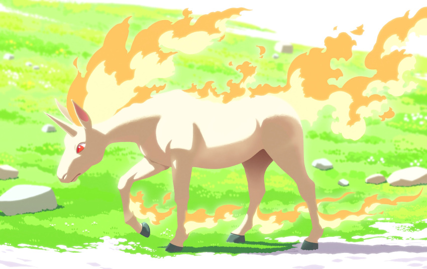 absurdres animal_focus closed_mouth commentary_request day fire full_body grass highres komepan looking_down no_humans outdoors pokemon pokemon_(creature) rapidash red_eyes solo standing