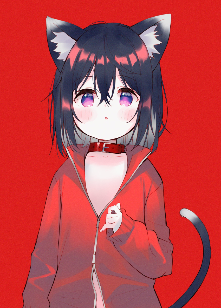 1girl :o absurdres animal_ears bangs black_hair blush cat_ears cat_girl cat_tail collar collarbone commentary eyebrows_visible_through_hair grey_hair hair_between_eyes hand_up highres jacket long_sleeves looking_at_viewer meito_(maze) multicolored_hair original parted_lips puffy_long_sleeves puffy_sleeves red_background red_collar red_jacket simple_background sleeves_past_wrists solo streaked_hair symbol-only_commentary tail track_jacket upper_body violet_eyes
